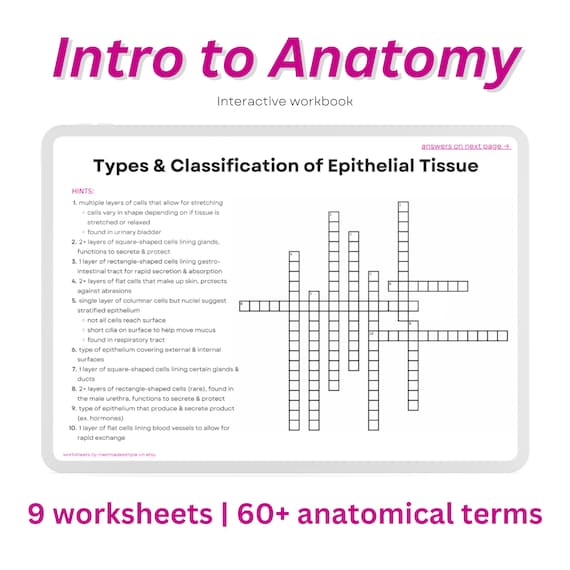 Anatomy workbook: diagrams u0026 crossword puzzles (pdf download) - etsy