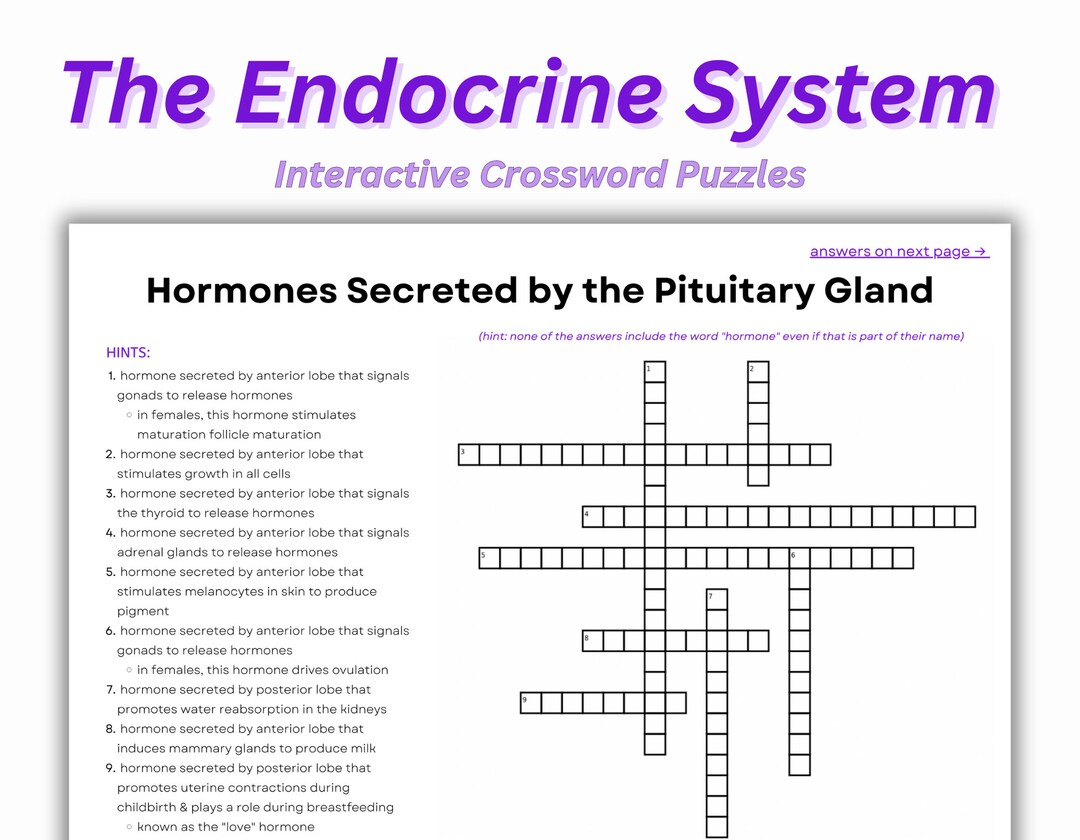 Endocrine System Workbook Digital Endocrine Hormones Etsy UK endocrine-system-workbook-digital-endocrine-hormones-etsy-uk