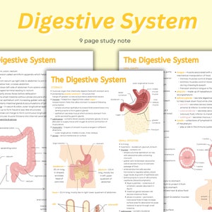 Notes sur le système digestif ~ Introduction à l'anatomie du système digestif, de l'estomac, des intestins, du foie, de la cavité buccale, de l'allaitement et de l'aide-mémoire