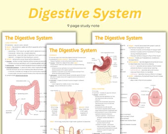 Digestive System Anatomy Notes: Premed Study Guide (PDF)