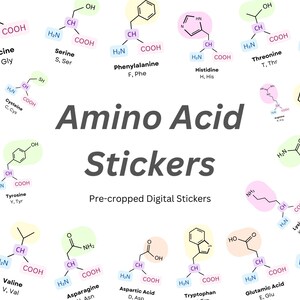 May include: White background with colorful illustrations of amino acid molecular structures. The image includes the text "Amino Acid Stickers" and "Pre-cropped Digital Stickers". Each amino acid is labeled with its name and abbreviation.