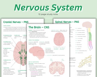 Nervous System Anatomy Notes: Brain, Spinal Cord, Eye, Ear (PDF Download)