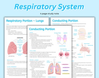 Respiratory System Anatomy Notes: Hand-Drawn Diagrams (PDF)