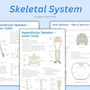 Note sul sistema scheletrico ~ Introduzione al sistema scheletrico, anatomia dello scheletro, diagrammi e note delle ossa principali, foglietto illustrativo