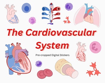 Cardiovascular System Digital Sticker Pack ~ Pre-crop goodnotes stickers for notes, cardiology, hematology stickers