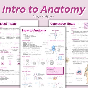 Intro to Anatomy Notes ~ Physiology Biology Science Study Guide Outline Cheat Sheet