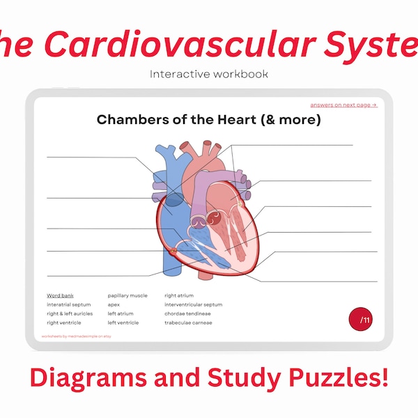 Cardiovascular System Workbook ~ Digital Cardiology Hematology Worksheets Diagrams Study Tool, Premed, Nursing, Anatomy, Biology