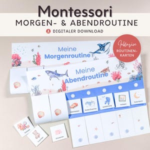 Rotina matinal e rotina noturna para crianças Sea Shark, plano de rotina com cartões de rotina para imprimir para crianças, Montessori Board Children's Room