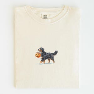 Könnte beinhalten: Ein cremefarbenes Kurzarm-T-Shirt mit einer Grafik eines Berner Sennenhundes, der einen kleinen orangefarbenen Kürbis-Eimer in Form einer Jack-o'-Lantern im Maul trägt. Das T-Shirt hat einen Rundhalsausschnitt und ein Comfort Colors Etikett am Innenkragen.
