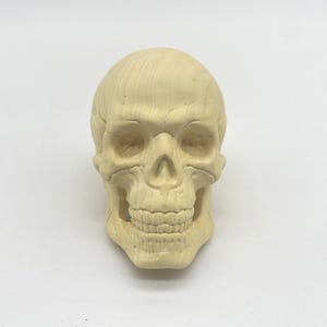 Tête de mort en buis sculpté à la main : décoration zen Memento Mori