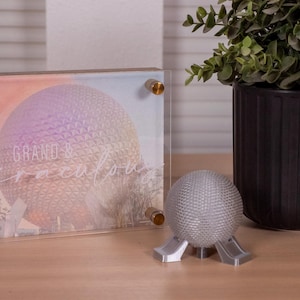 Spaceship Earth Ball