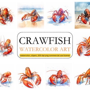 May include: A set of 18 watercolour illustrations of crawfish on a sandy beach. The crawfish are in various poses, some are facing the viewer, some are facing away, and some are in pairs. The illustrations are in a realistic style and are perfect for use in a variety of projects.