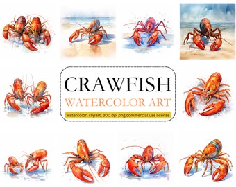 Watercolor Crawfish Clipart, PNG, commercial use, digital download
