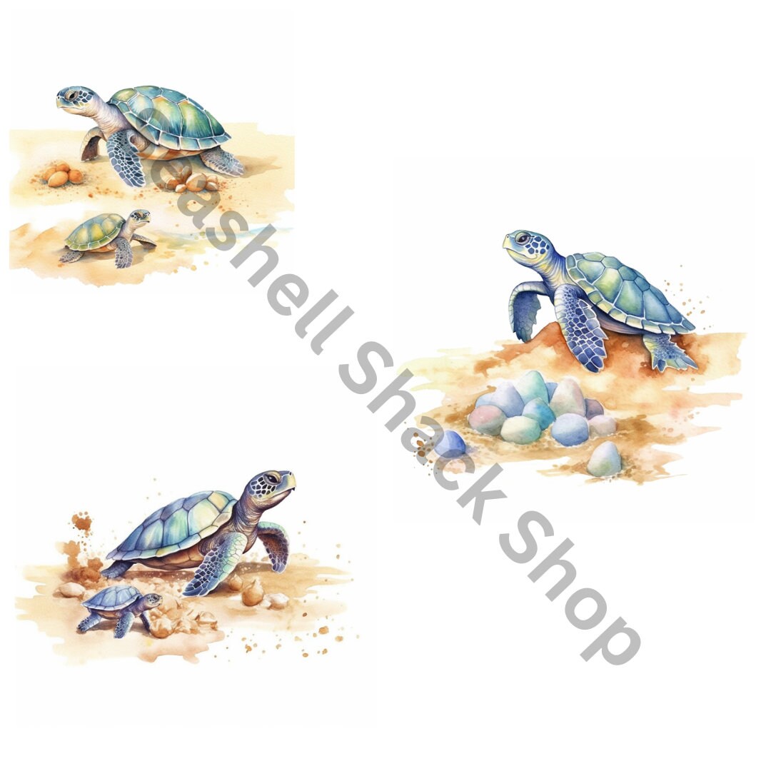 Turtles Clipart PNG Commercial Use Digital Download - Etsy