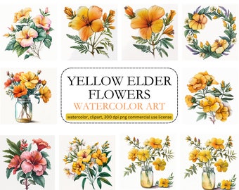 Watercolor Floral Yellow Elder Flower Clipart, PNG, commercial use, digital download