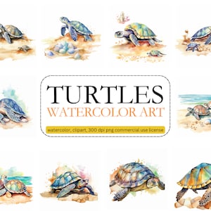 Clipart di tartarughe, PNG, uso commerciale, download digitale