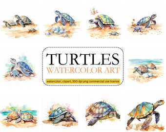 Turtles Clipart, PNG, commercial use, digital download