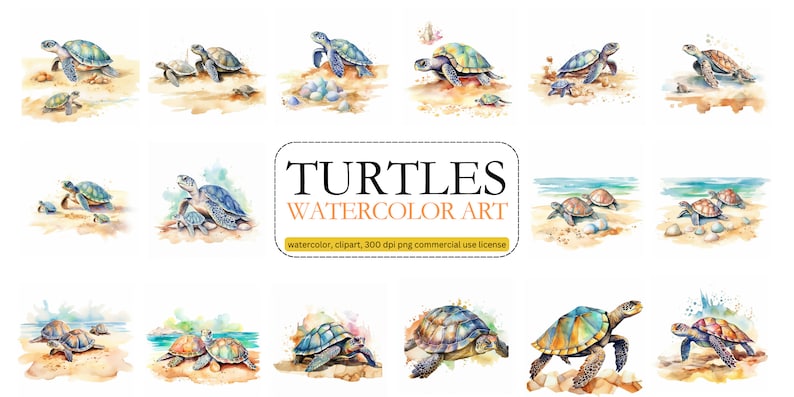 Turtles Clipart PNG Commercial Use Digital Download - Etsy