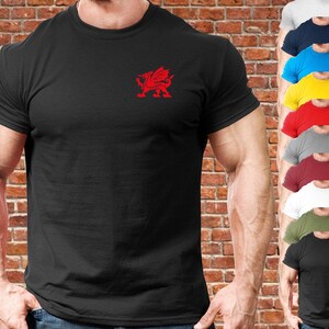 May include: A black t-shirt featuring a red dragon graphic on the left chest. The dragon is a symbol of Wales.