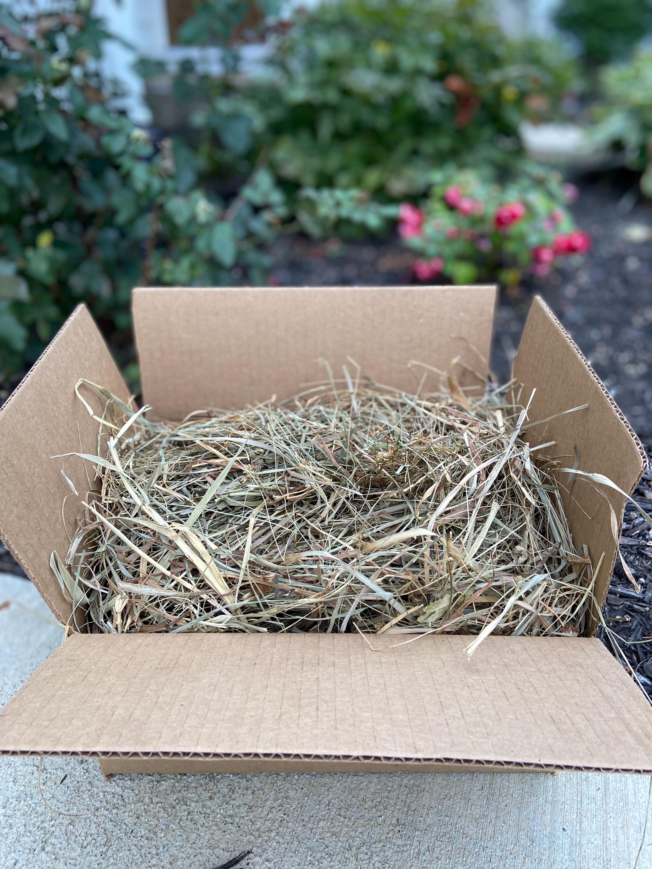 Picture Idea: Orchard Grass Hay Mix Rabbit Hay Small Animal Hay Small