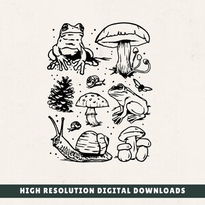 Nature Walk Forest SVG PNG Mushroom Cricut Cutout Digital Download
