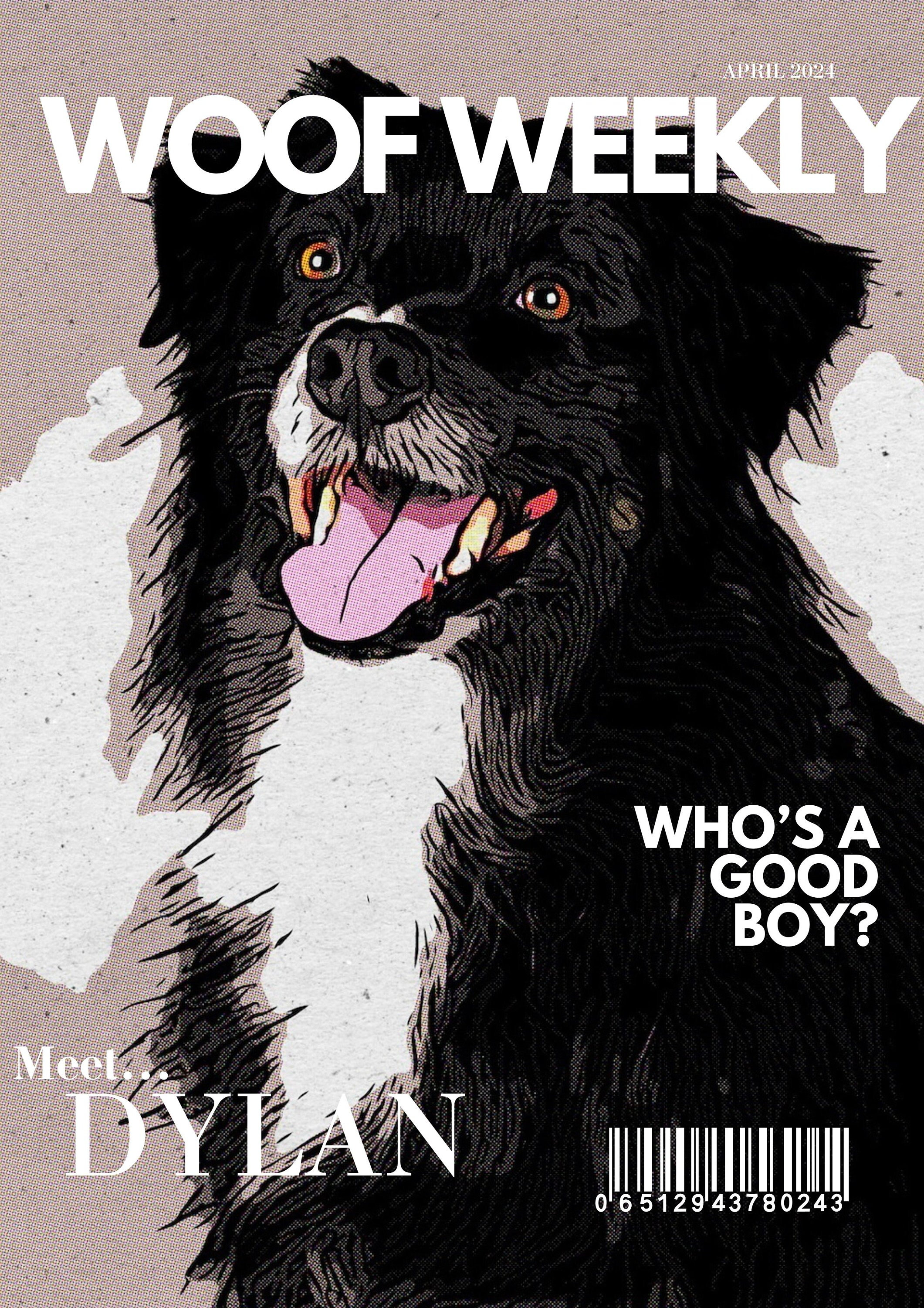 Dog Magazine Cover Digital Print - Personalise - Animated