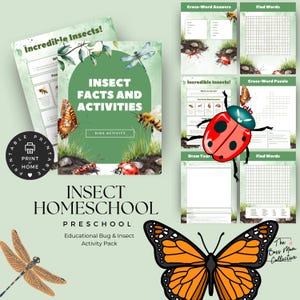 Insect Activity Printable - Preschool Insect Game - Homeschool Learning - Fun Educational Resource - Preschool Nature Activity -Nature Study