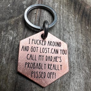 Funny Deep Engraved Pet ID Tag – “I F’d Around and Got Lost” | Deep Engraved Pet ID Tag | Custom Dog / Cat Tag, Dog Lovers Gift Idea