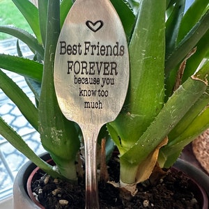 May include: A silver spoon with the text "Best Friends FOREVER because you know too much" engraved on it. A heart is engraved above the text. The spoon is stuck in the soil of a potted plant.