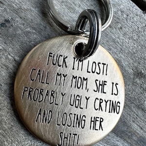 Dog Tag, Dog Collar Tag, Personalized Cat Tag, Custom Cat Collar Tag, Cat ID Tag, Dog ID Tag, Dog Name Tag, Engraved Pet Tag,Losing Shit Dog