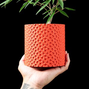 May include: A bright orange cylindrical plant pot with a geometric pattern, containing a small green plant. The pot is held in a hand against a black backdrop. The textured surface of the pot adds visual interest.