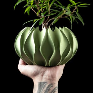 May include: A green, decorative planter with a unique, wavy design, holding a small, leafy plant. The metallic-looking planter is held in a hand against a black background. The plant has small green leaves and thin branches.