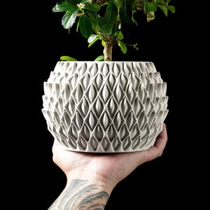 May include: A white, textured ceramic planter with a geometric diamond pattern, holding a small bonsai tree with green leaves. The planter is round and held in a hand against a black background. The planter is approximately 6 inches in diameter.