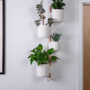 Puede incluir: Un soporte de pared para plantas con cuatro macetas de cer&aacute;mica blancas, cada una con un tipo diferente de planta verde. El soporte tiene un soporte central de madera natural y soportes blancos. Las plantas var&iacute;an en tama&ntilde;o y forma de hoja.
