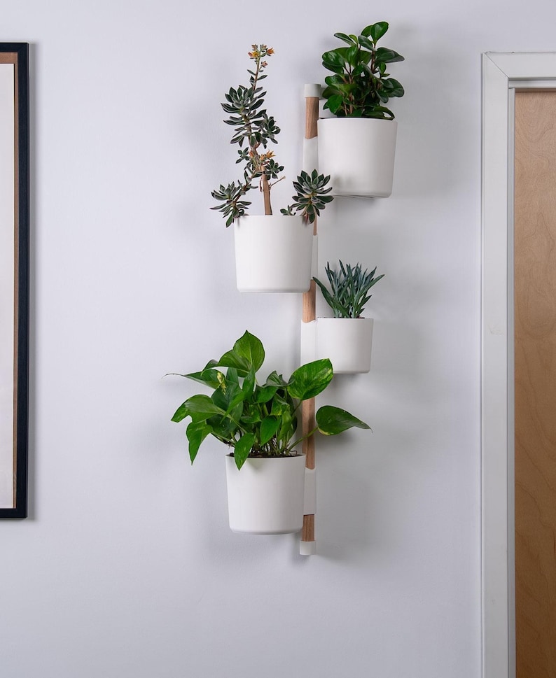 Puede incluir: Un soporte de pared para plantas con cuatro macetas de cer&aacute;mica blancas, cada una con un tipo diferente de planta verde. El soporte tiene un soporte central de madera natural y soportes blancos. Las plantas var&iacute;an en tama&ntilde;o y forma de hoja.