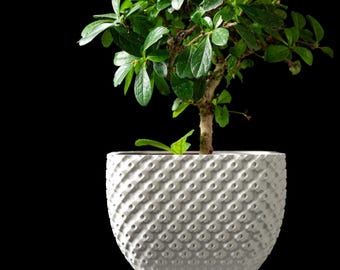 3D Printed Planter Vase: Modern Sculptural Organic Form, Custom Color & Texture