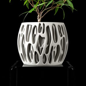 May include: A white, textured, decorative plant pot with a unique, open, organic design. The pot holds a small green plant with multiple branches and leaves. The pot is sitting on a black surface against a black background.