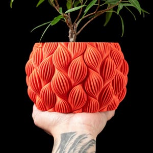 May include: A vibrant orange, textured planter with a detailed, leaf-like pattern, cradling a small green plant. The planter is held in a hand against a black background, showcasing the intricate design and the contrast of colors.