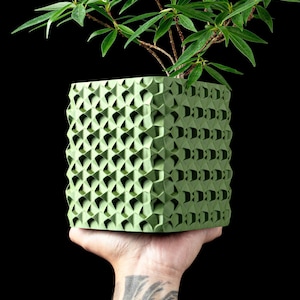 May include: A green, geometric planter with a textured surface, holding a small plant with green leaves and thin brown stems. The planter is square-shaped and held against a black background.