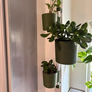 Puede incluir: Un soporte vertical de pared para plantas con tres macetas verde oliva, cada una con una planta de interior diferente. El soporte est&aacute; fijado a una pared blanca. Las plantas tienen hojas verdes.