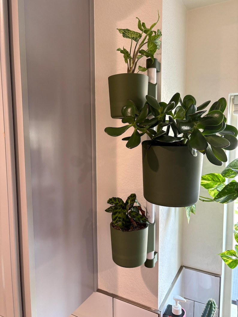Puede incluir: Un soporte vertical de pared para plantas con tres macetas verde oliva, cada una con una planta de interior diferente. El soporte est&aacute; fijado a una pared blanca. Las plantas tienen hojas verdes.