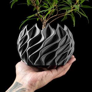 May include: A gray, spherical planter with a unique, wave-like design, holding a small green plant. The planter is held in a hand against a black background. The plant's leaves are a vibrant green, contrasting with the planter's neutral tone.