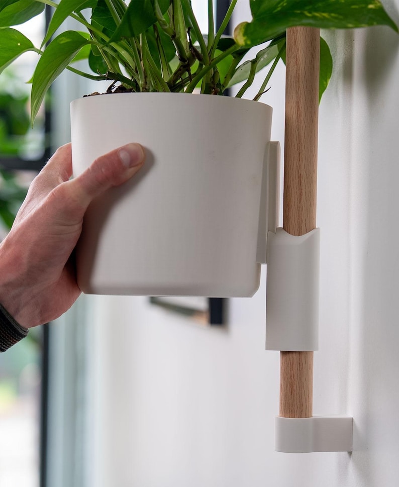 Puede incluir: Una maceta blanca montada en la pared con un soporte de madera. La maceta contiene una planta de hojas verdes. El soporte de madera est&aacute; fijado a la pared con soportes blancos. La maceta est&aacute; sujeta por una mano.