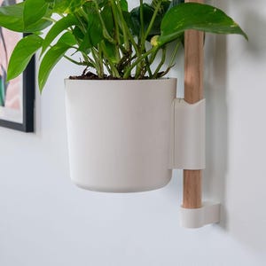 Puede incluir: Una maceta blanca, montada en la pared, con un soporte de madera, que contiene una planta de hojas verdes. La maceta tiene un dise&ntilde;o simple y moderno, y el soporte de madera es de color marr&oacute;n claro. La planta tiene hojas grandes y verdes vibrantes.