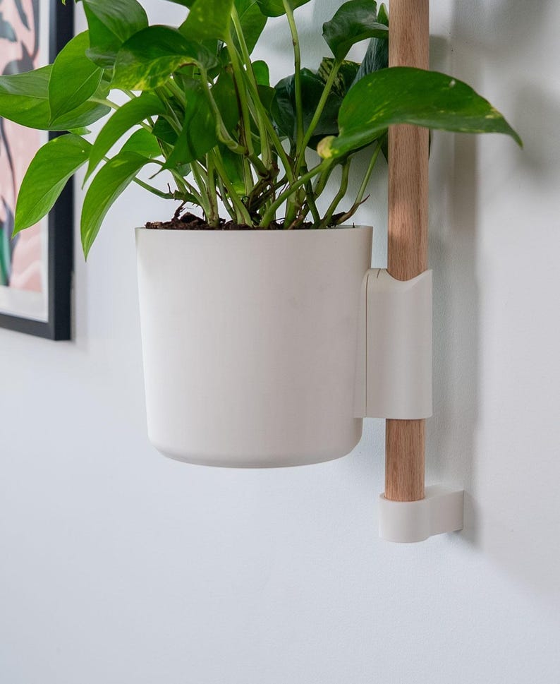 Puede incluir: Una maceta blanca, montada en la pared, con un soporte de madera, que contiene una planta de hojas verdes. La maceta tiene un dise&ntilde;o simple y moderno, y el soporte de madera es de color marr&oacute;n claro. La planta tiene hojas grandes y verdes vibrantes.