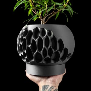 May include: A dark gray, spherical planter with a honeycomb-like pattern on the exterior, holding a small green plant. The planter is held in a hand against a black background. The plant has small green leaves and thin brown branches.