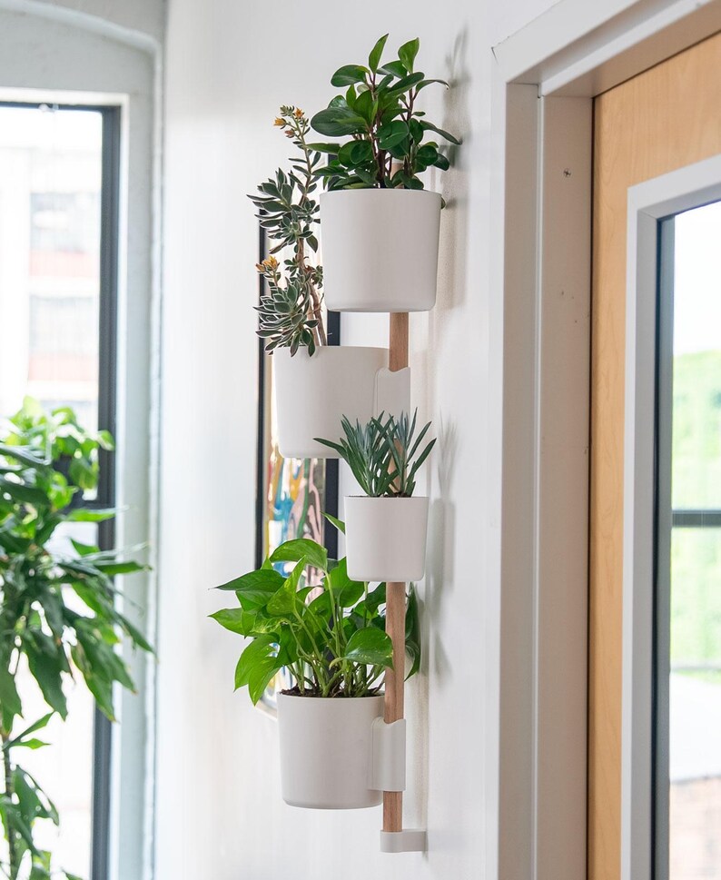 Puede incluir: Un jardinera vertical de pared con cuatro macetas blancas que contienen varias plantas verdes. Las macetas est&aacute;n unidas a una estructura de soporte de madera clara y blanca, creando un dise&ntilde;o moderno y que ahorra espacio para la vegetaci&oacute;n interior.