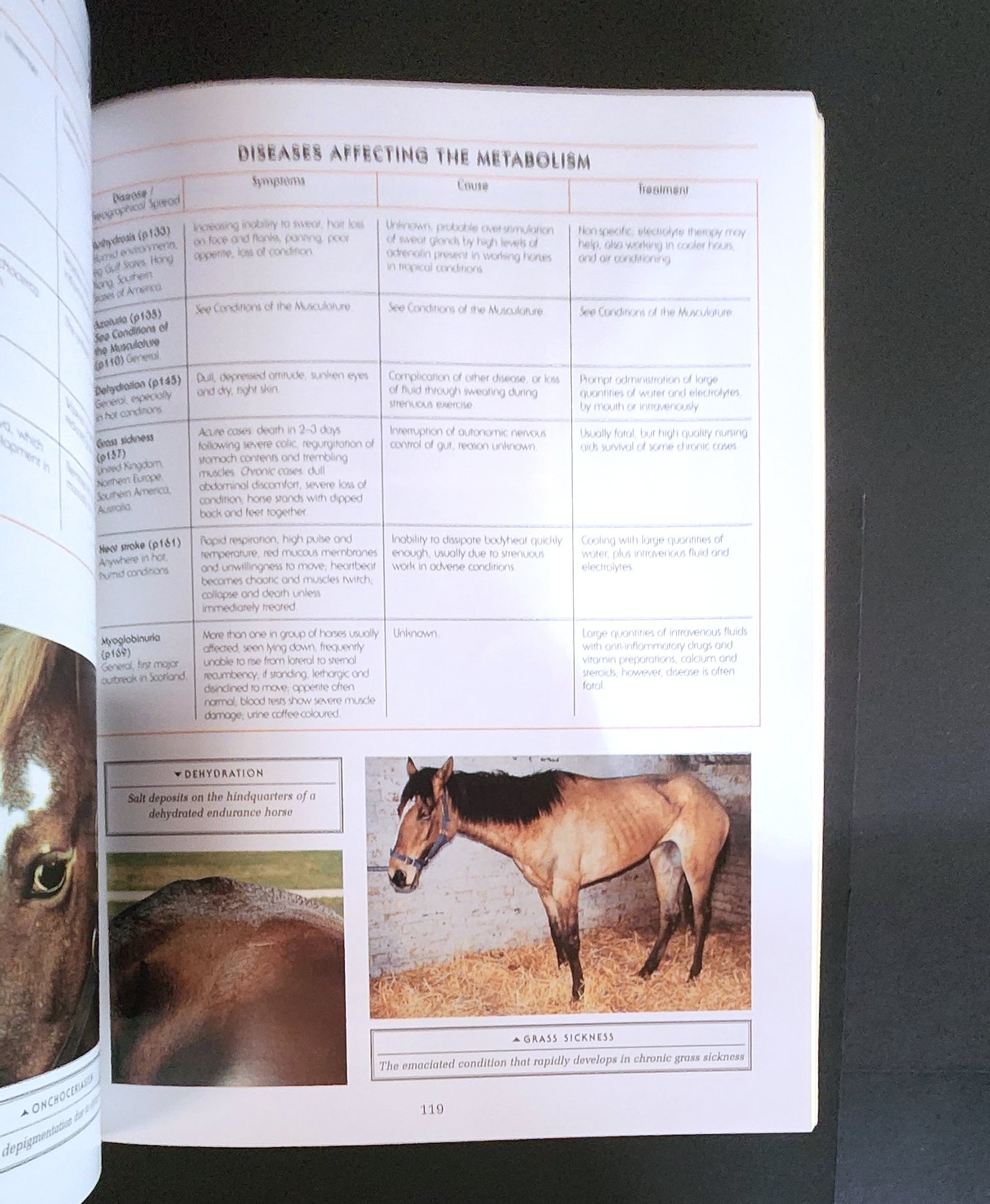 Complete Equine Veterinary Manual: A Comprehensive Guide to Horse ...
