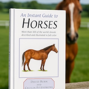 Instant Guide to Horses, Equine, 2000, Hardcover