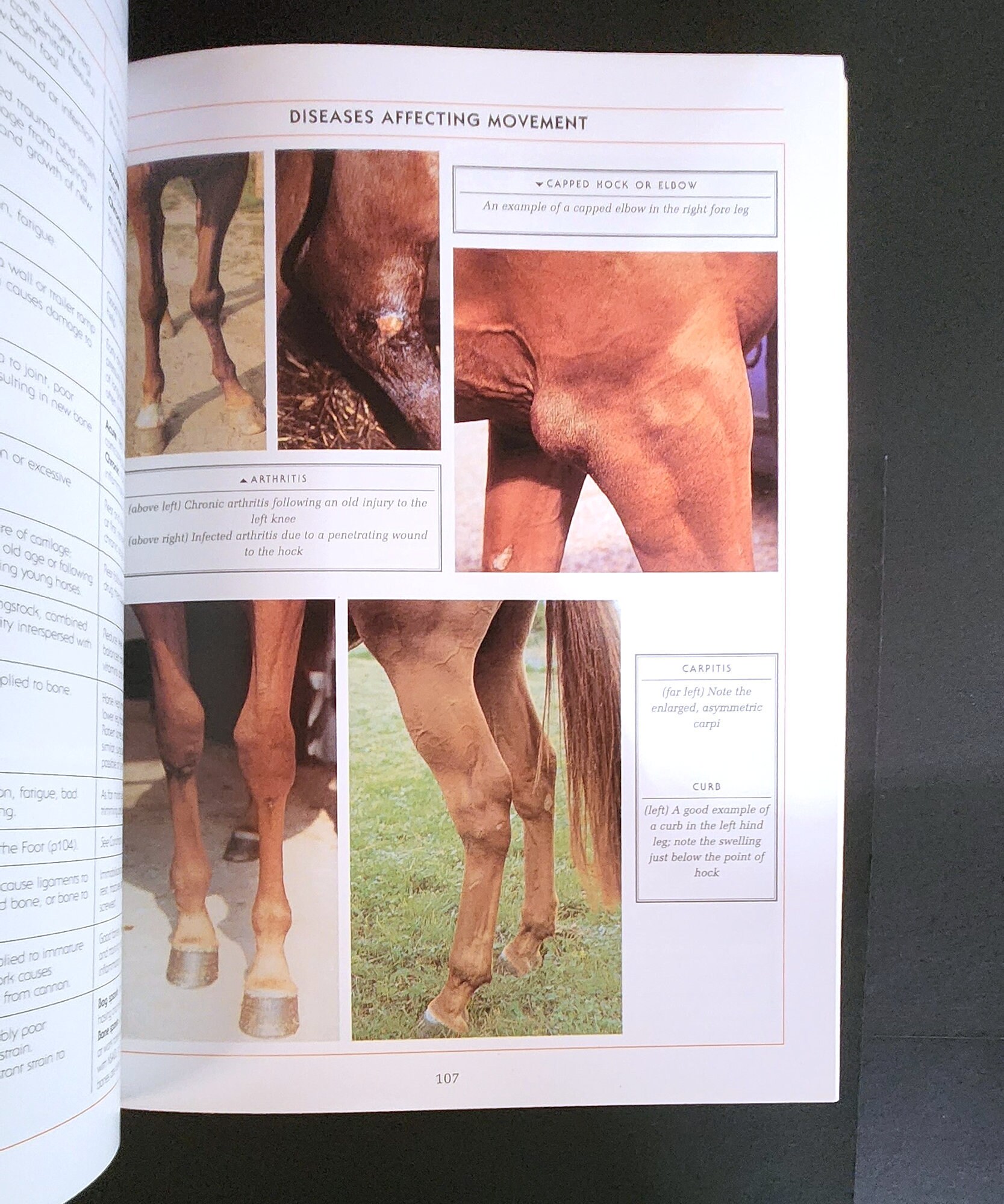 Complete Equine Veterinary Manual: A Comprehensive Guide to Horse ...